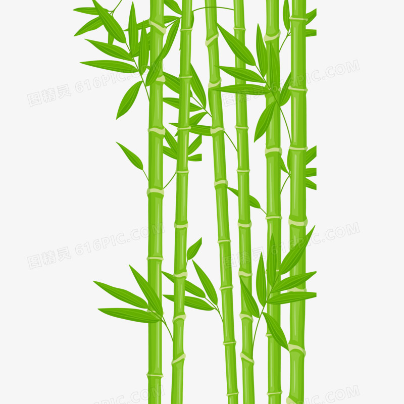卡通手绘绿色竹子免抠元素