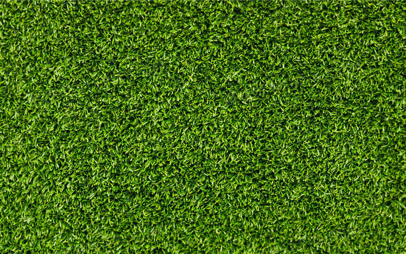 绿色草地小草壁纸