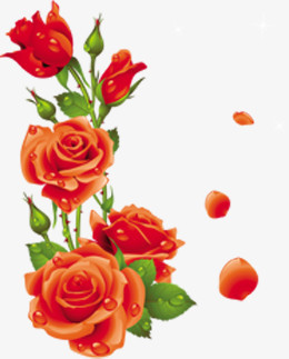 水珠玫瑰手绘花朵