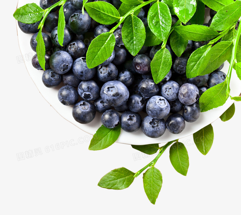 盘子中的蓝莓