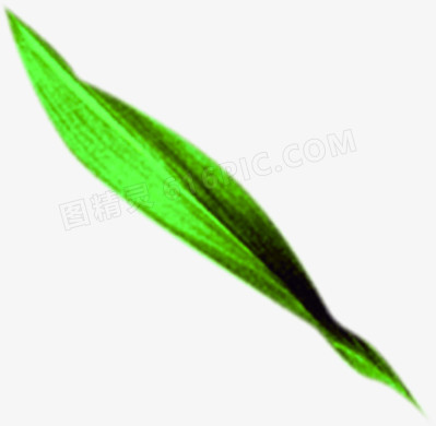 绿色清新手绘竹叶风光设计