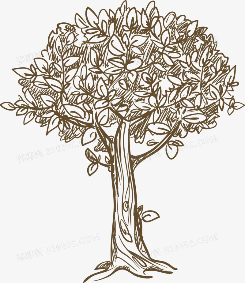 手绘植物树