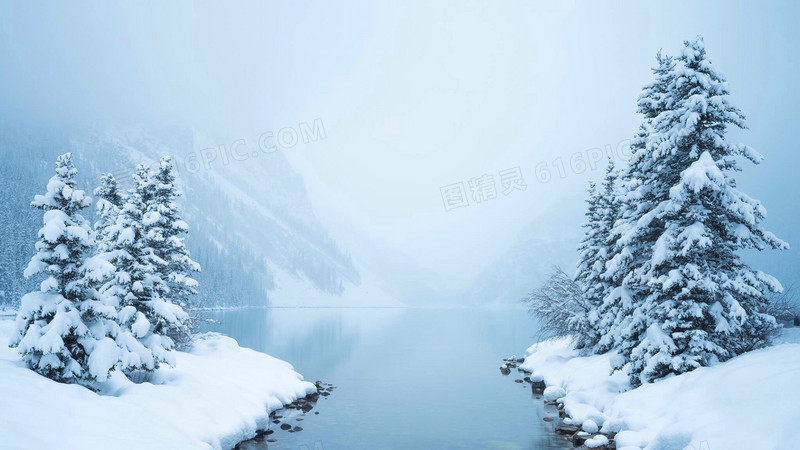 冬天雪景白茫茫一片
