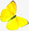 黄色卡通手绘蝴蝶装饰