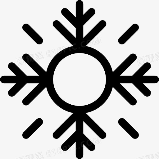 Snowflake 图标