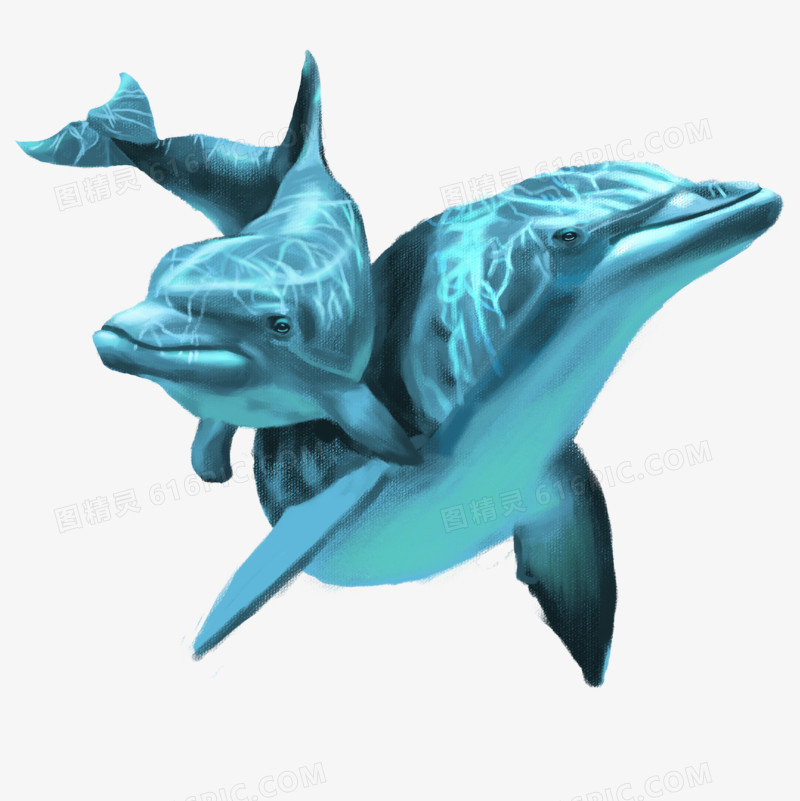 手绘写实风海豚海洋生物免抠元素