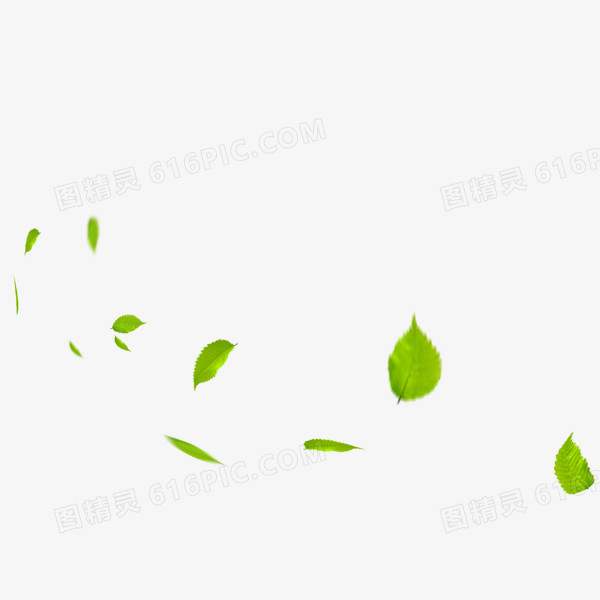 树叶