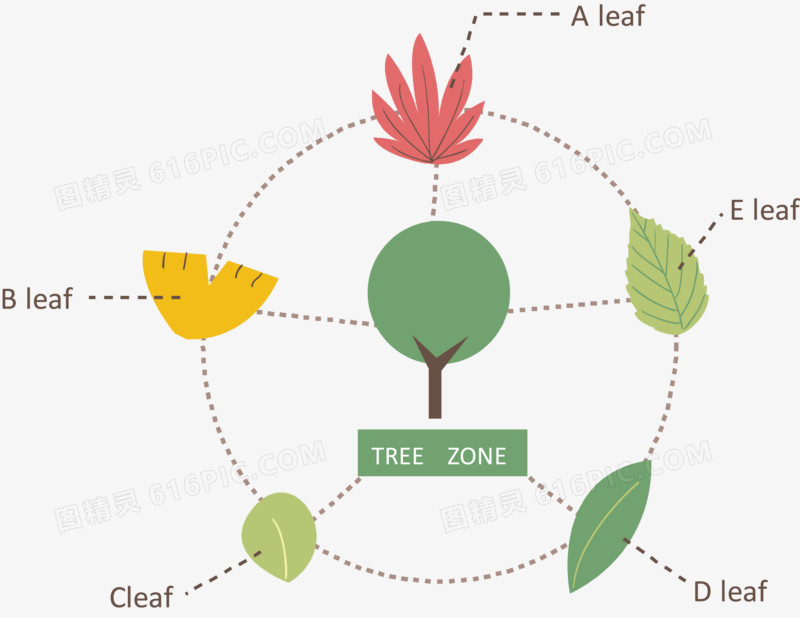 树叶类型说明图