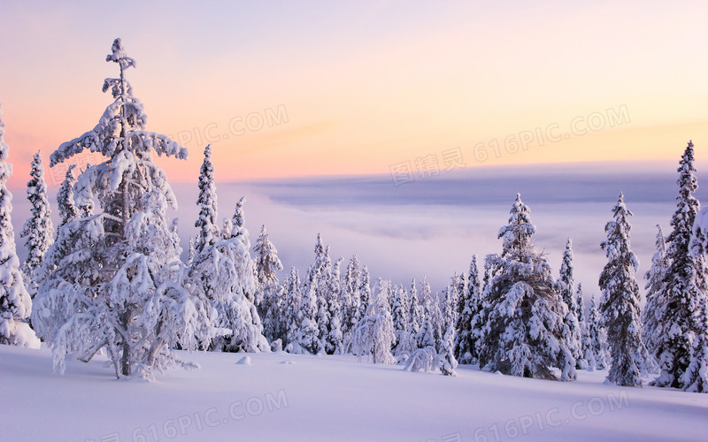 冬季雪景图