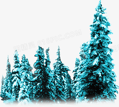 蓝色高清冬季雪花大树