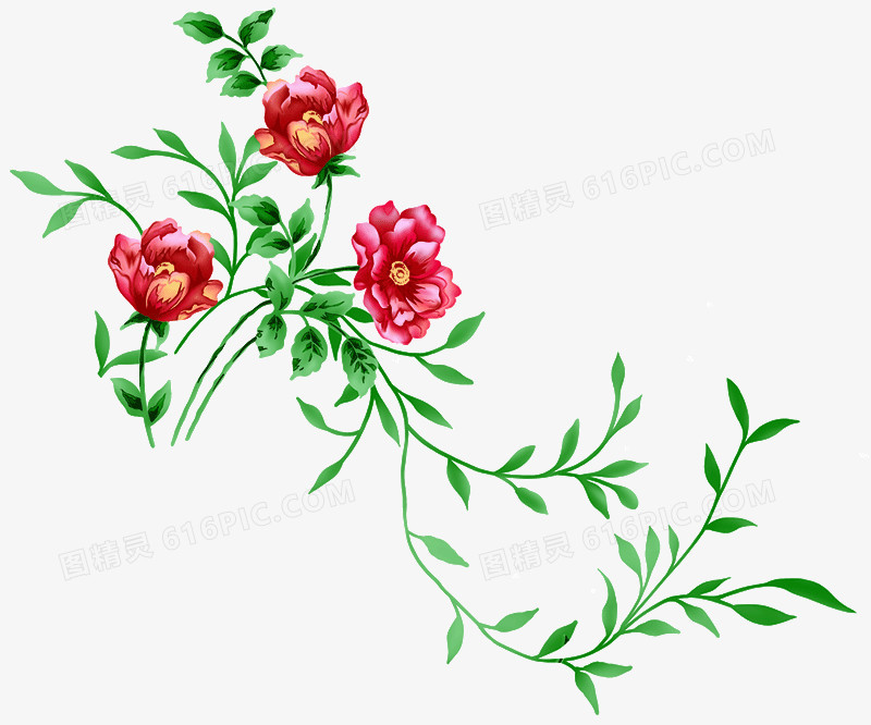 花卉