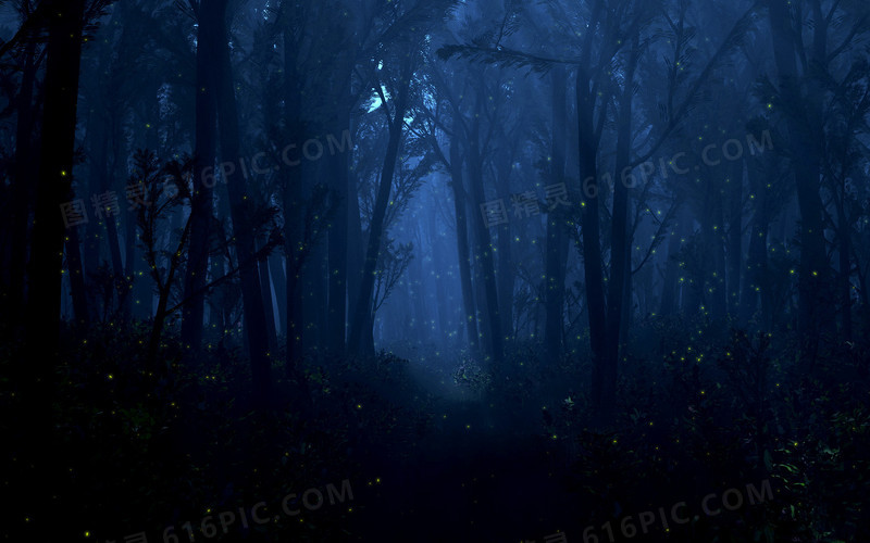 夜晚安静恐怖诡异树林