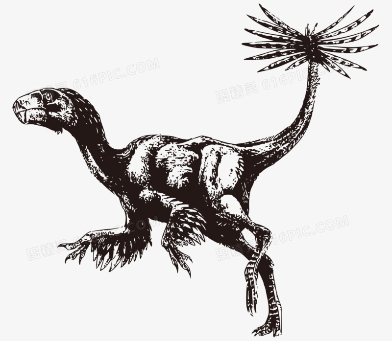 手绘黑白恐怖的远古动物恐龙