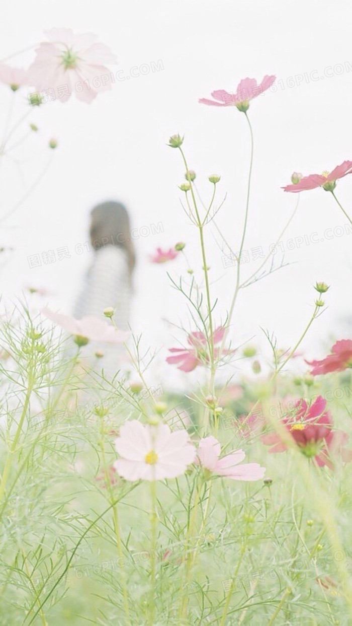 唯美清新美女花朵