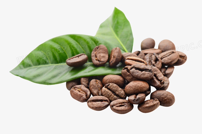 咖啡豆清晰图片素材