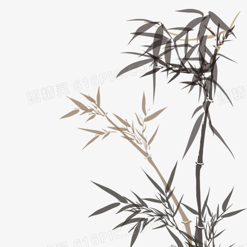 中秋节素材 竹子
