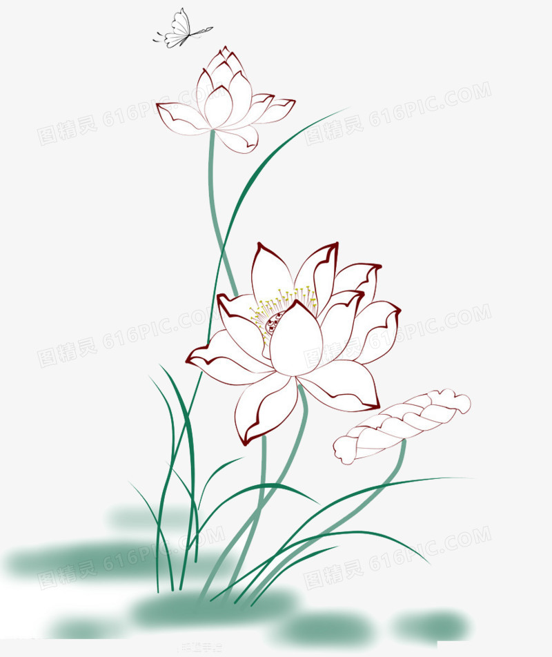 荷花