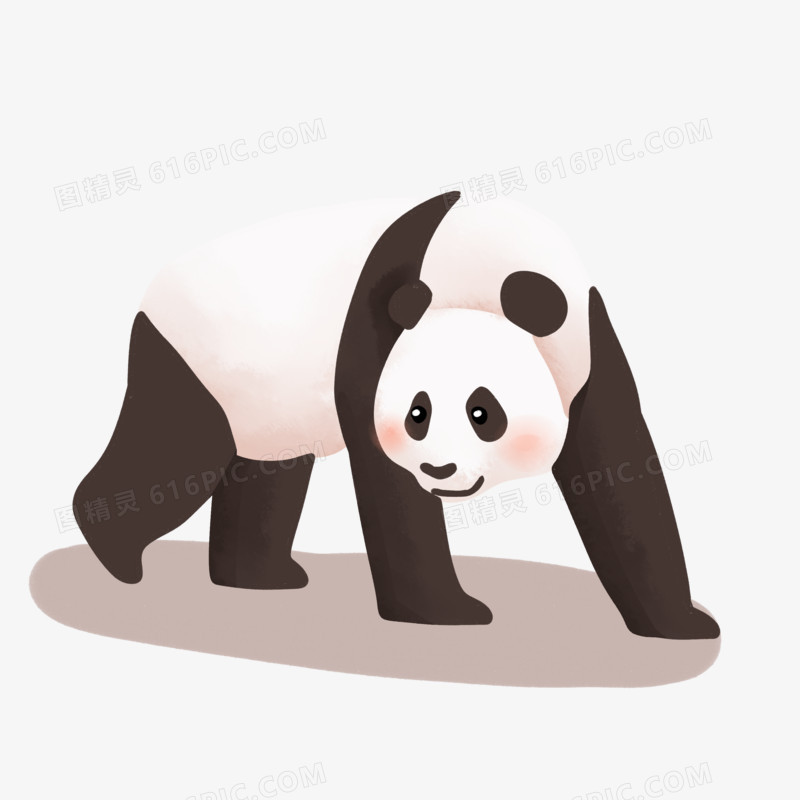 手绘卡通保护动物大熊猫素材