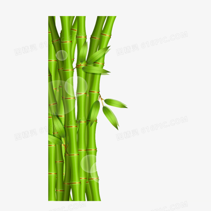 卡通竹子