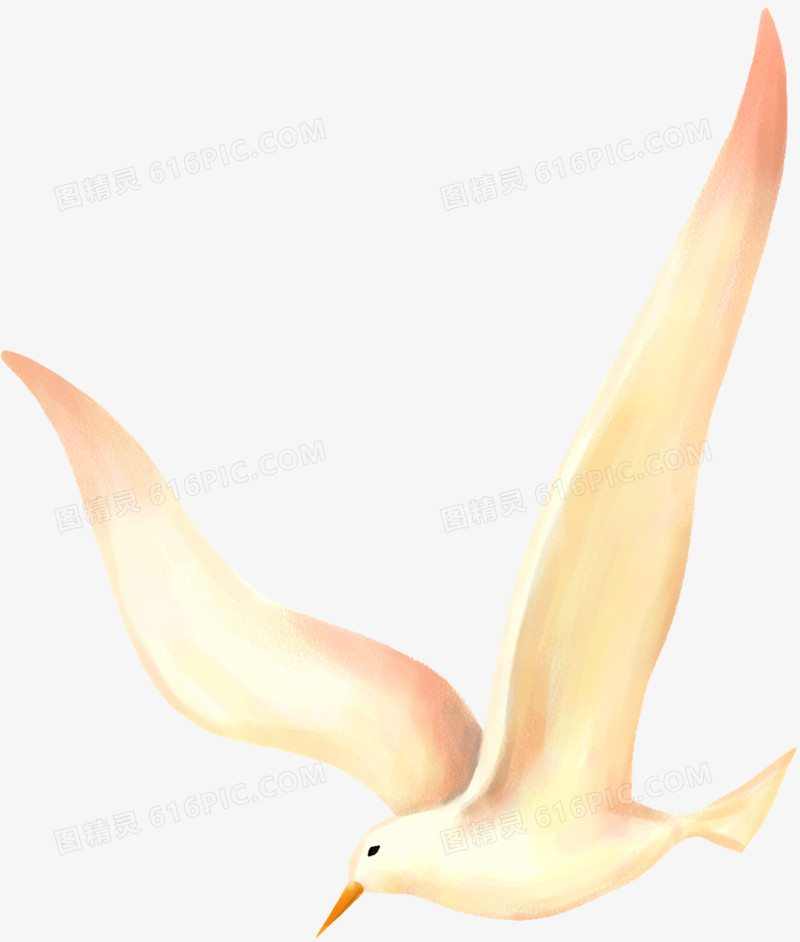 创意高清手绘飞翔的海鸥翅膀