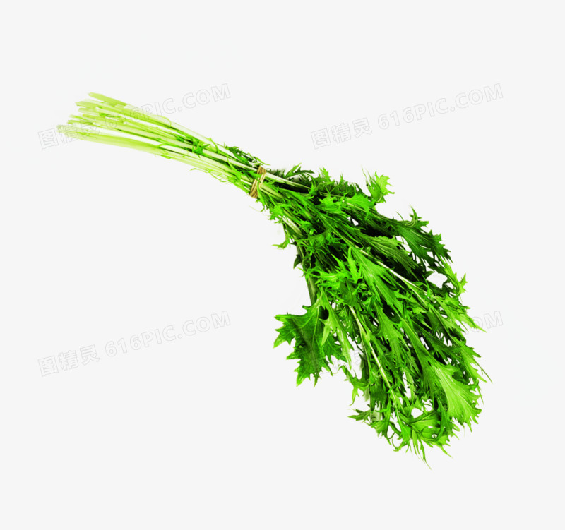 绿色新鲜蔬菜香芹芹菜