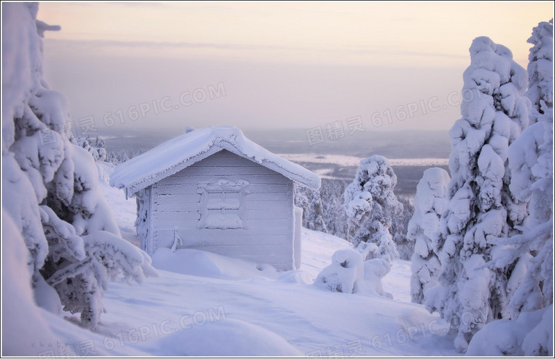 白色冬日雪地植物房屋