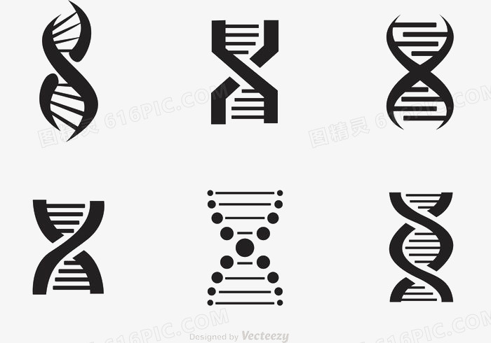 双人间螺旋图标矢量