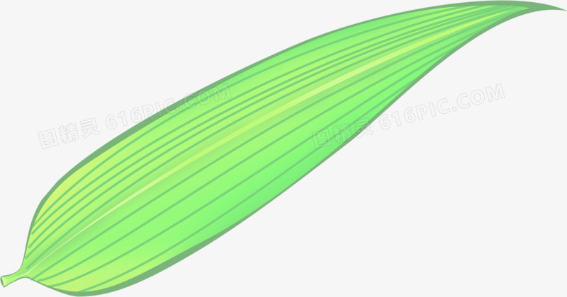细长绿色竹叶