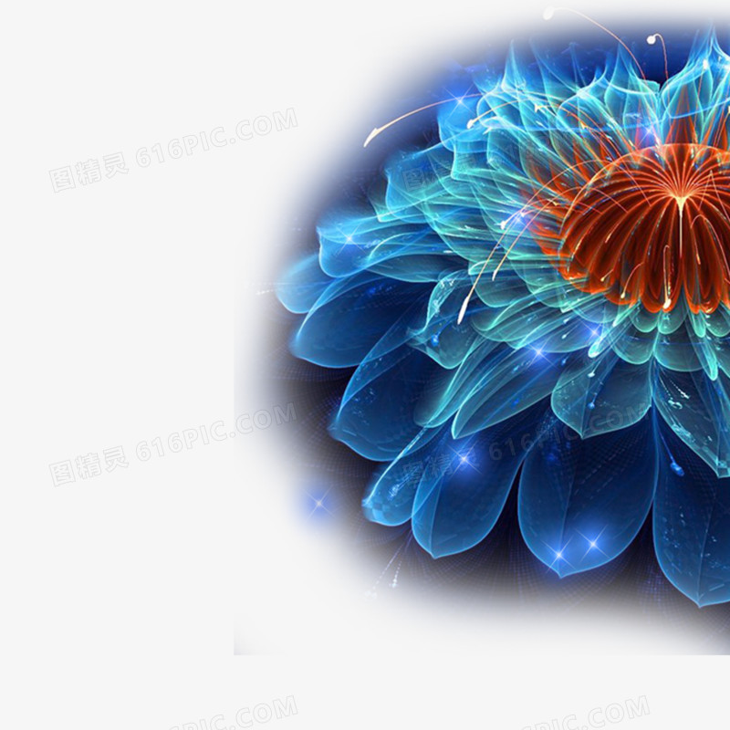 炫彩花