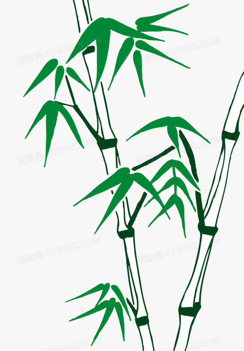 绿竹卡通图片 卡通清新竹子