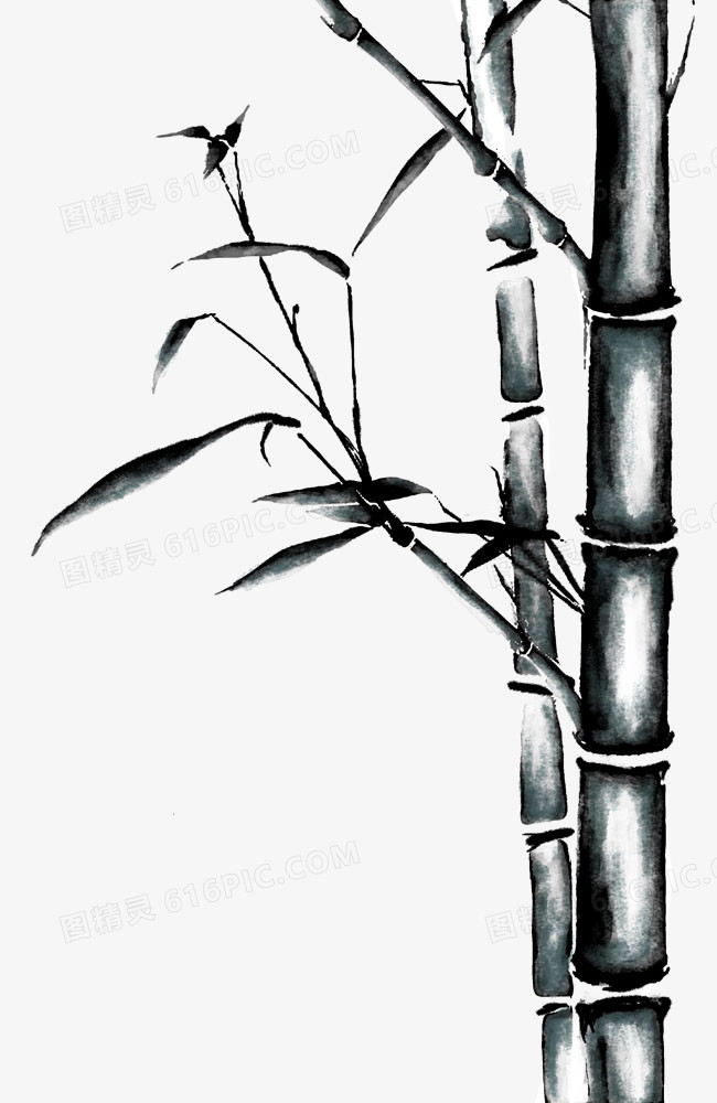 竹叶图片手绘竹子图片 卡通手绘竹子