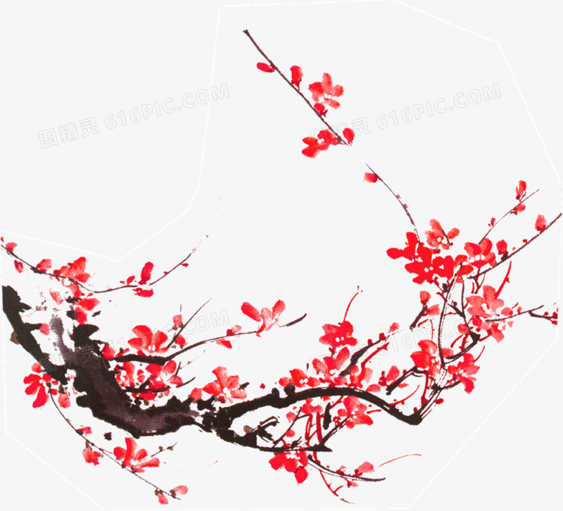 鲜红的梅花树