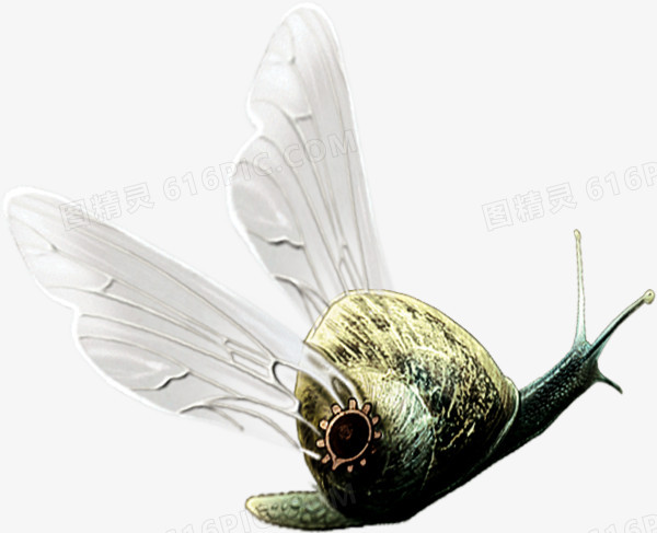 飞翔的蜗牛