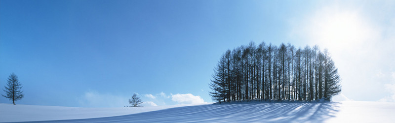 雪景背景图