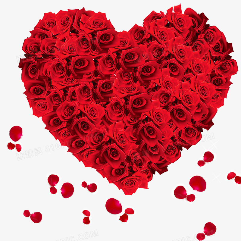 高清摄影红色的玫瑰花爱心形状