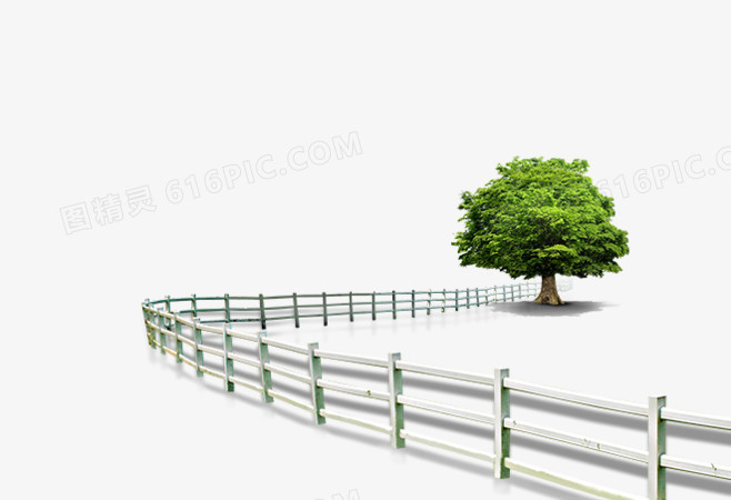 围栏与树