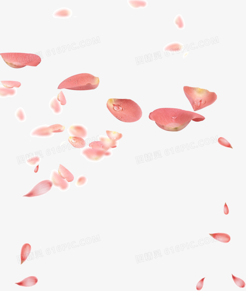 漂浮玫瑰花瓣