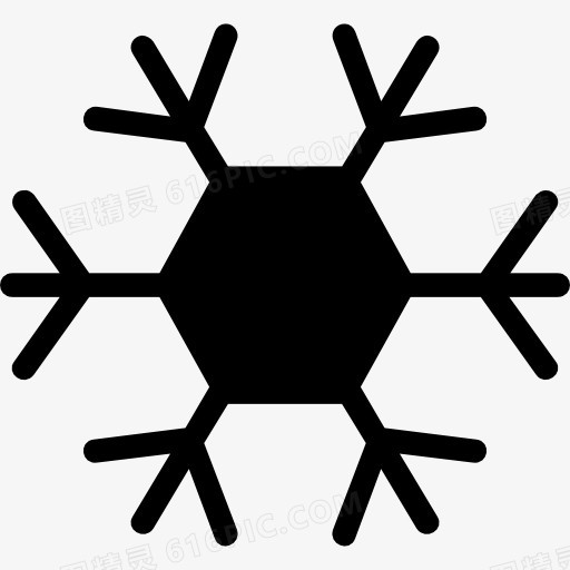 Snowflake 图标