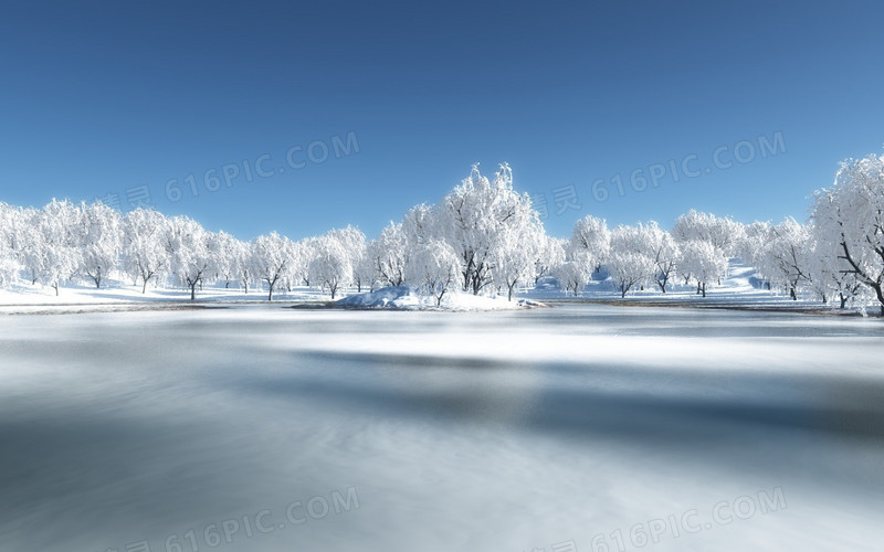 冬天雪景树林背景