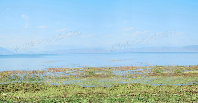 夏季海边湿润草地