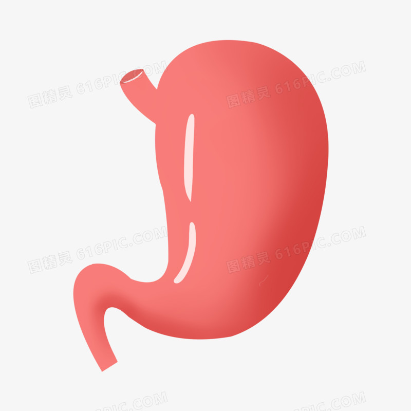 卡通手绘胃人体器官素材