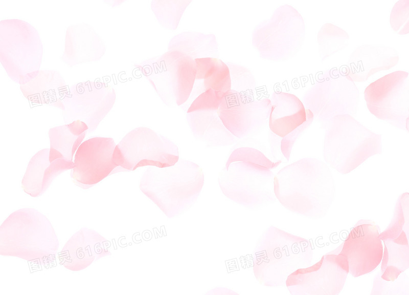 粉色花瓣碎片海报背景