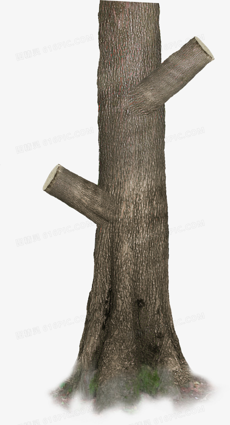 冬季高清木头树桩