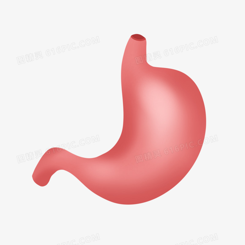 手绘人体器官肠胃元素