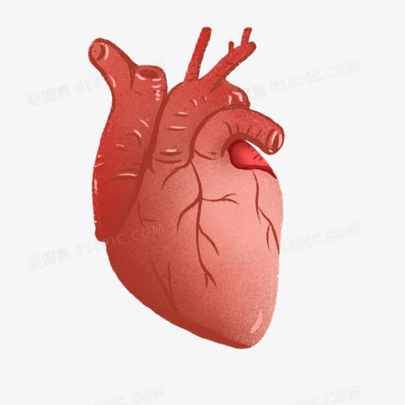 卡通手绘人体器官心脏免抠元素