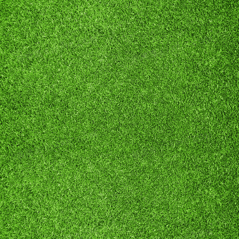 绿色草坪聊天背景图图片