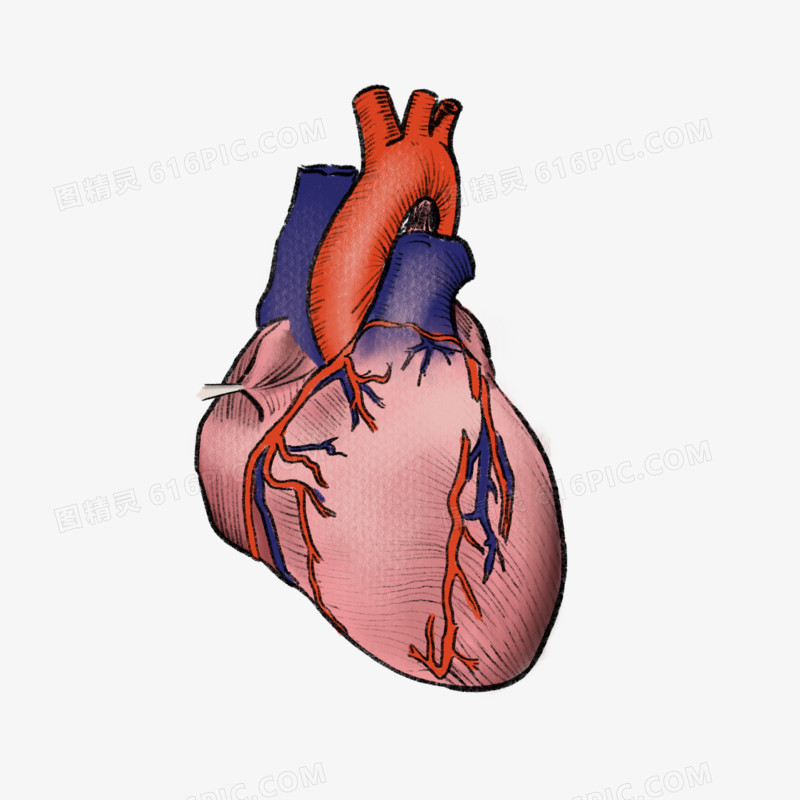手繪心臟器官元素