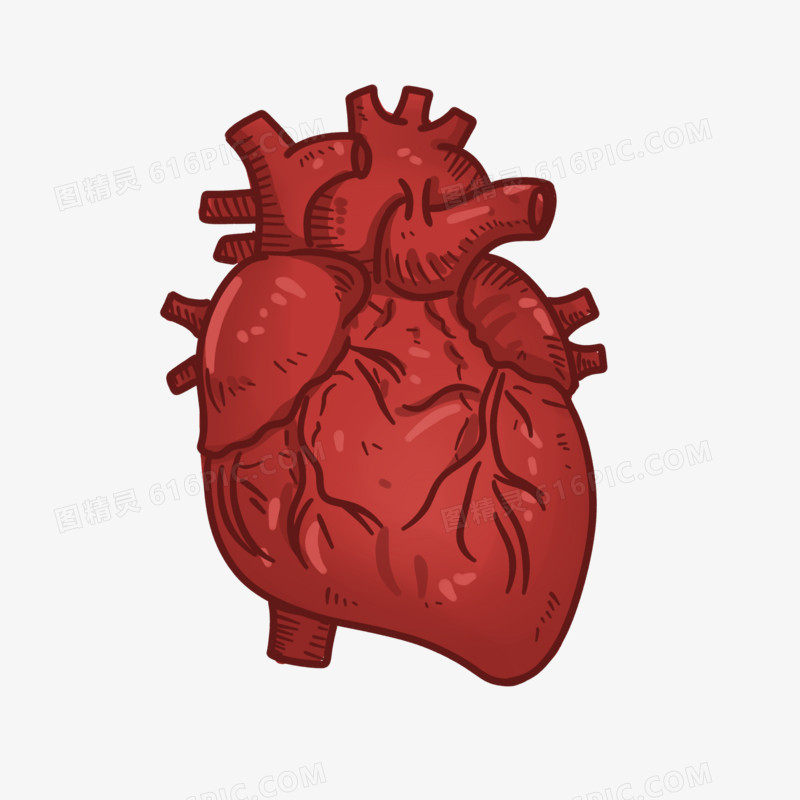 手绘卡通人体器官心脏素材