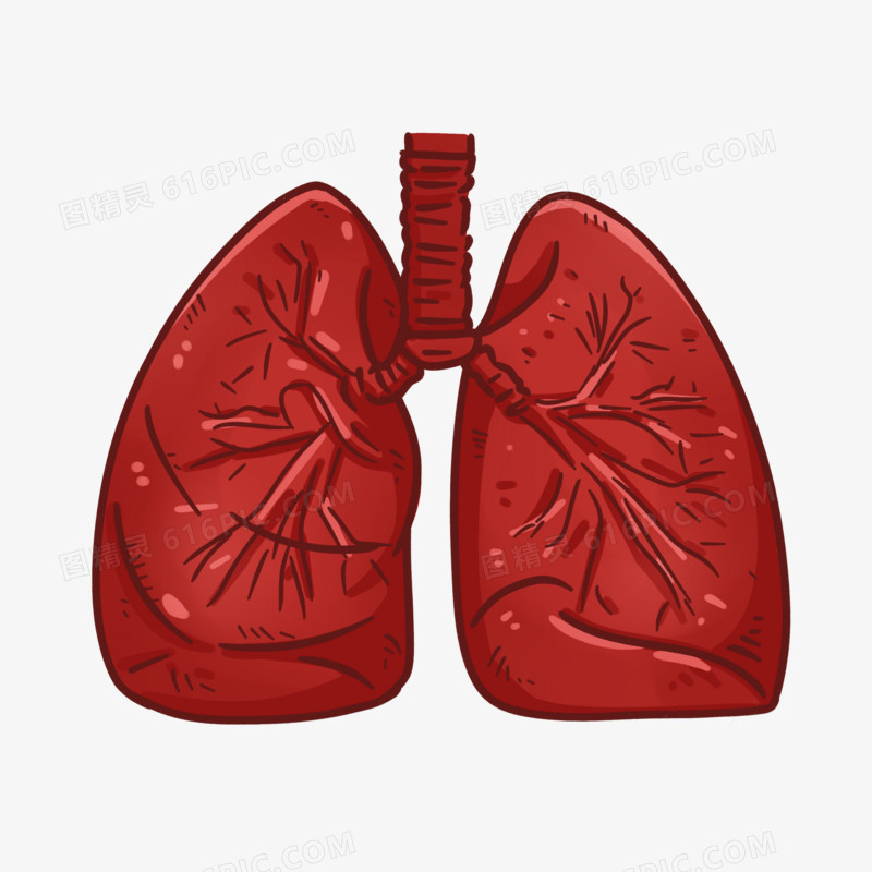手绘卡通人体器官肺部素材