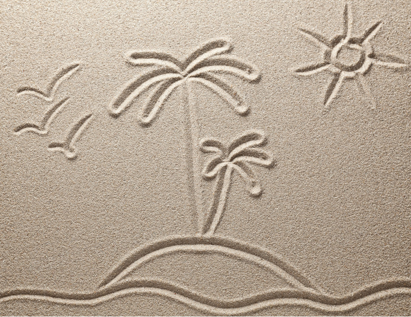 椰子太阳大雁沙滩画